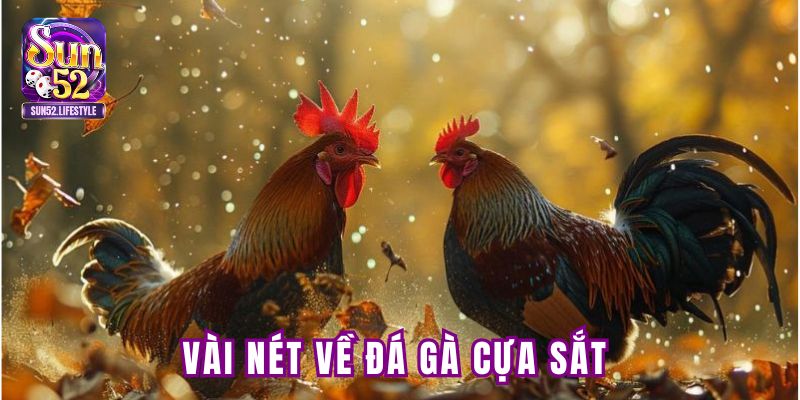 Vài nét về đá gà cựa sắt Vài nét về đá gà cựa sắt