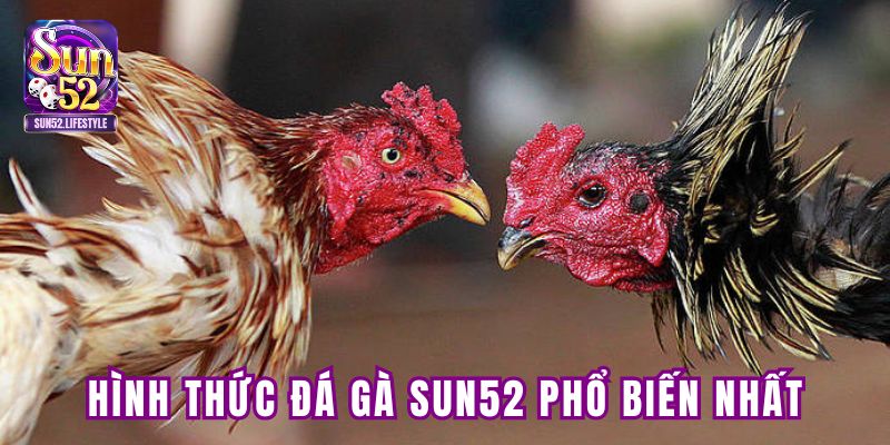 Những hình thức đá gà SUN52 phổ biến nhất hiện nay Những hình thức đá gà SUN52 phổ biến nhất hiện nay