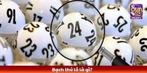 bạch thủ lô là gì