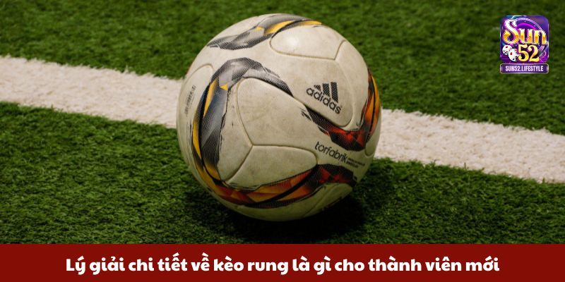 kèo rung là gì Lý giải chi tiết về kèo rung là gì cho thành viên mới