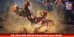 Các hình thức Đá Gà Campuchia quen thuộc