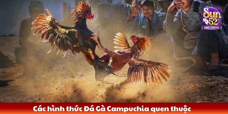 Các hình thức Đá Gà Campuchia quen thuộc