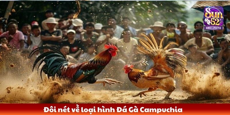 Đôi nét về loại hình Đá Gà Campuchia
