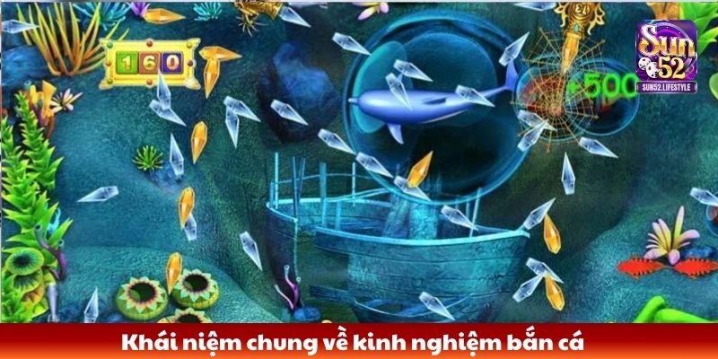 Kinh nghiệm bắn cá Khái niệm chung về kinh nghiệm bắn cá